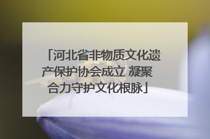 河北省非物质文化遗产保护协会成立 凝聚合力守护文化根脉