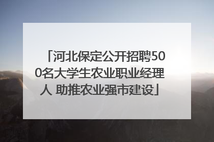 河北保定公开招聘500名大学生农业职业经理人 助推农业强市建设