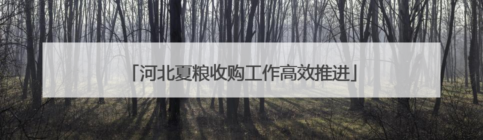 河北夏粮收购工作高效推进