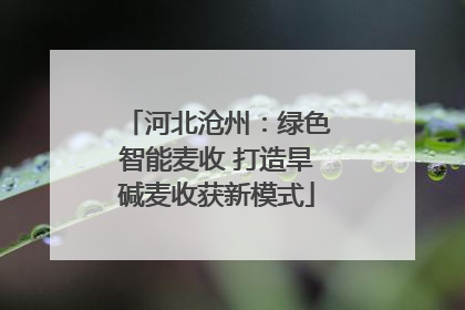 河北沧州：绿色智能麦收 打造旱碱麦收获新模式