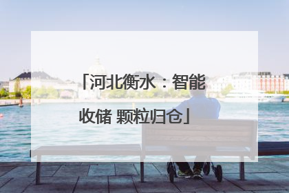 河北衡水：智能收储 颗粒归仓