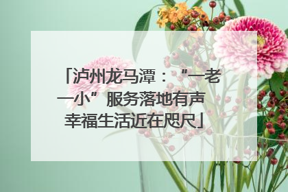 泸州龙马潭：“一老一小”服务落地有声 幸福生活近在咫尺