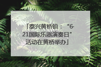 泰兴黄桥镇：“6·21国际乐器演奏日”活动在黄桥举办