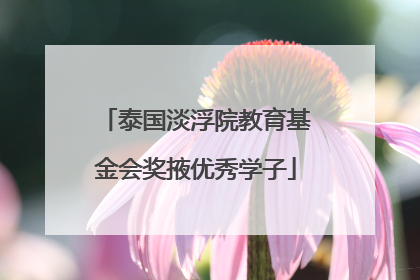 泰国淡浮院教育基金会奖掖优秀学子