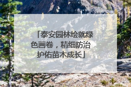 泰安园林绘就绿色画卷，精细防治护佑苗木成长
