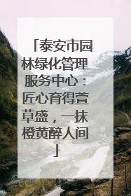 泰安市园林绿化管理服务中心：匠心育得萱草盛，一抹橙黄醉人间