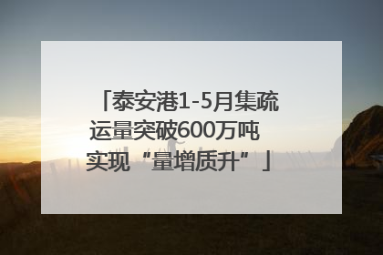 泰安港1-5月集疏运量突破600万吨 实现“量增质升”