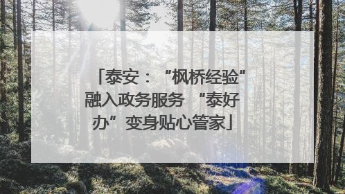 泰安：“枫桥经验”融入政务服务 “泰好办”变身贴心管家