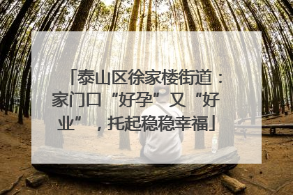 泰山区徐家楼街道：家门口“好孕”又“好业”，托起稳稳幸福