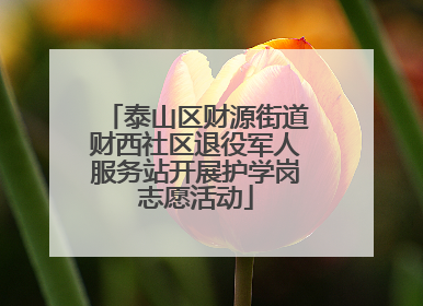 泰山区财源街道财西社区退役军人服务站开展护学岗志愿活动