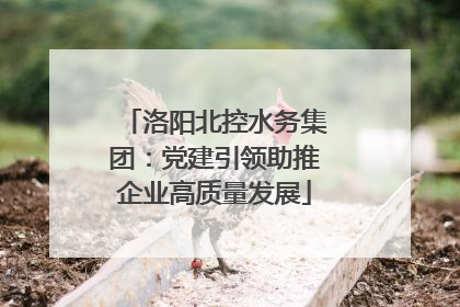 洛阳北控水务集团：党建引领助推企业高质量发展