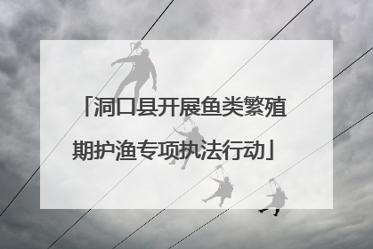 洞口县开展鱼类繁殖期护渔专项执法行动