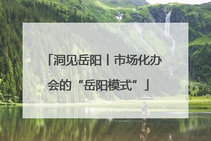 洞见岳阳丨市场化办会的“岳阳模式”
