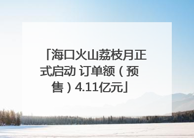 海口火山荔枝月正式启动 订单额（预售）4.11亿元