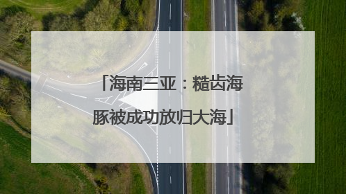海南三亚：糙齿海豚被成功放归大海
