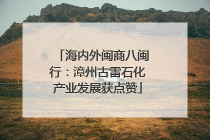 海内外闽商八闽行：漳州古雷石化产业发展获点赞