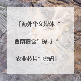 海外华文媒体“晋南粮仓”探寻“农业芯片”密码