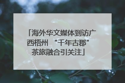 海外华文媒体到访广西梧州 “千年古郡”茶旅融合引关注