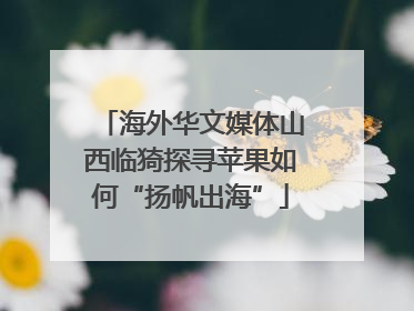 海外华文媒体山西临猗探寻苹果如何“扬帆出海”