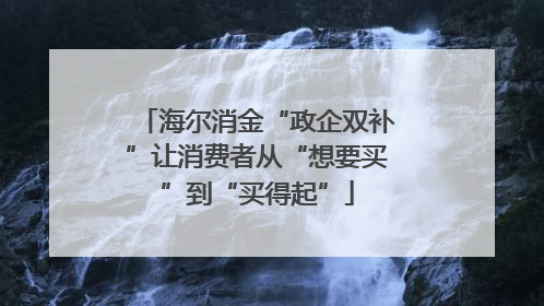 海尔消金“政企双补”让消费者从“想要买”到“买得起”