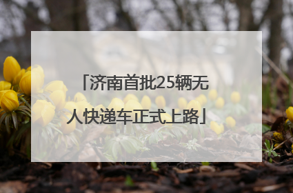 济南首批25辆无人快递车正式上路