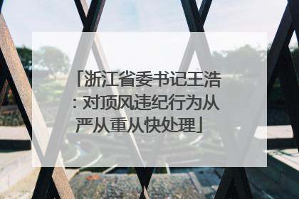 浙江省委书记王浩：对顶风违纪行为从严从重从快处理