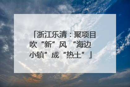 浙江乐清：聚项目吹“新”风 “海边小镇”成“热土”