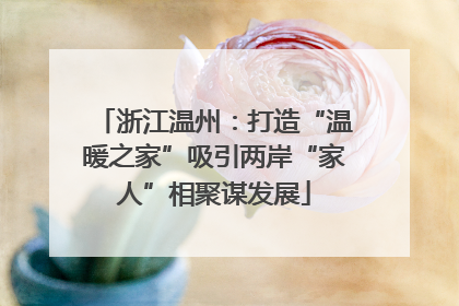 浙江温州：打造“温暖之家”吸引两岸“家人”相聚谋发展