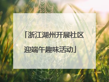 浙江湖州开展社区迎端午趣味活动