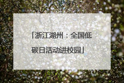浙江湖州：全国低碳日活动进校园