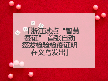 浙江试点“智慧签证” 首张自动签发检验检疫证明在义乌发出