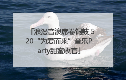 浪漫音浪席卷铜鼓 520“为爱而来”音乐Party甜蜜收官