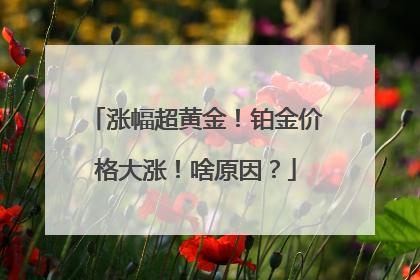 涨幅超黄金！铂金价格大涨！啥原因？