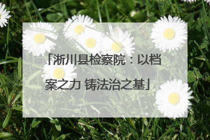 淅川县检察院：以档案之力 铸法治之基