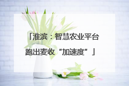 淮滨：智慧农业平台跑出麦收“加速度”