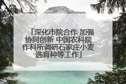 深化市院合作 加强协同创新 中国农科院作科所调研石家庄小麦选育种等工作