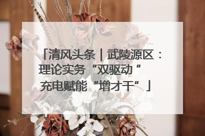 清风头条｜武陵源区：理论实务“双驱动 ” 充电赋能“增才干”