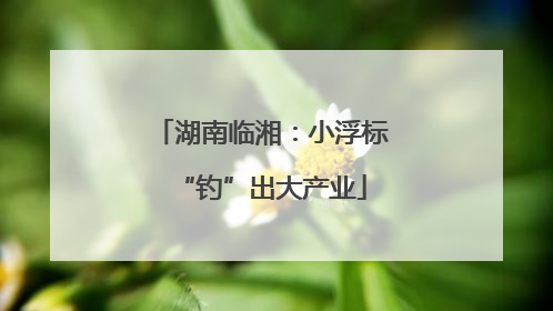湖南临湘：小浮标“钓”出大产业