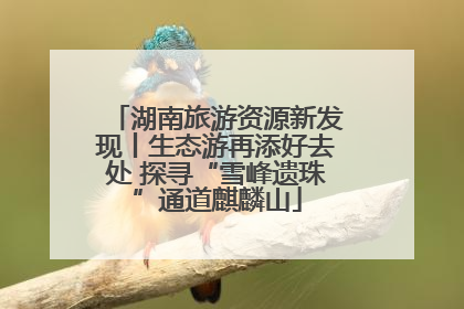 湖南旅游资源新发现丨生态游再添好去处 探寻“雪峰遗珠”通道麒麟山