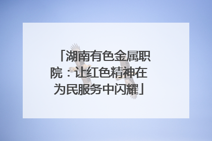 湖南有色金属职院：让红色精神在为民服务中闪耀