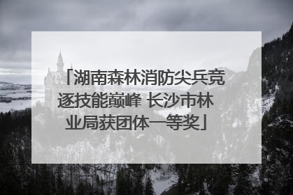 湖南森林消防尖兵竞逐技能巅峰 长沙市林业局获团体一等奖