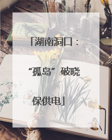 湖南洞口：“孤岛”破晓保供电