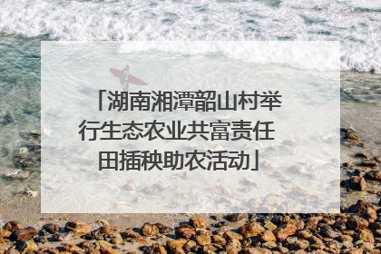 湖南湘潭韶山村举行生态农业共富责任田插秧助农活动