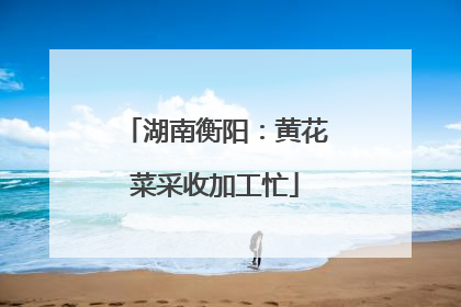 湖南衡阳：黄花菜采收加工忙