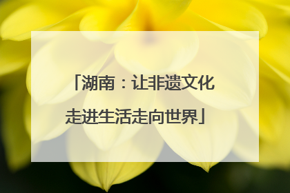 湖南：让非遗文化走进生活走向世界