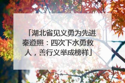 湖北省见义勇为先进秦遵照：四次下水勇救人，善行义举成榜样