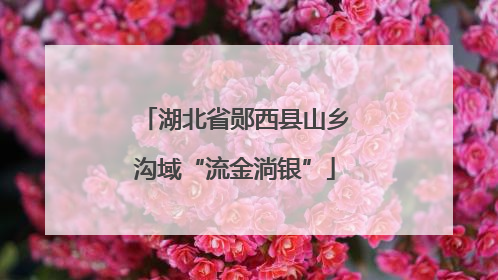 湖北省郧西县山乡沟域“流金淌银”
