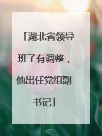 湖北省领导班子有调整，他出任党组副书记