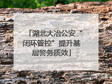 湖北大冶公安“闭环管控”提升基层警务质效