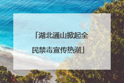 湖北通山掀起全民禁毒宣传热潮